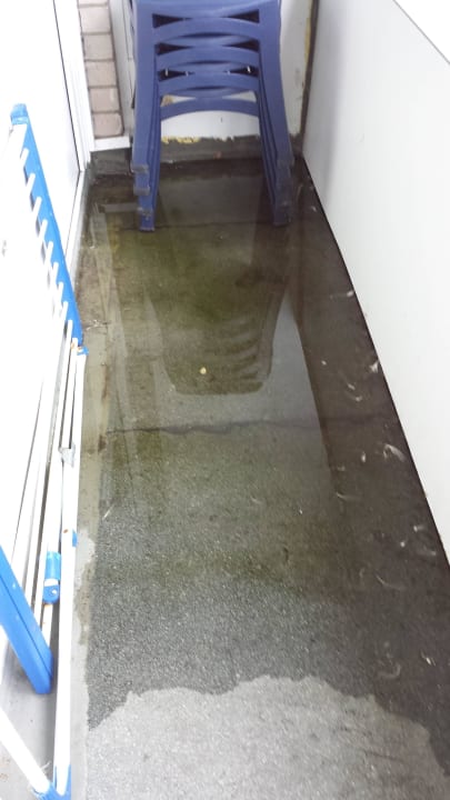 Wasser und Möwenkot  Ferienwohnungen Ferienpark Weissenhäuser Strand