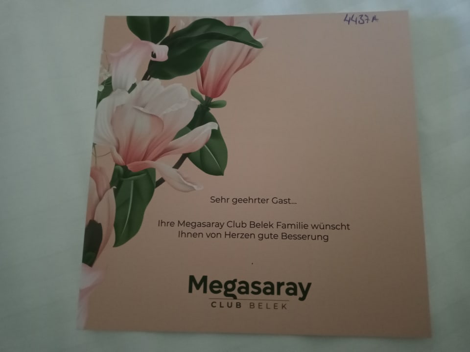 Sonstiges Megasaray Club Belek