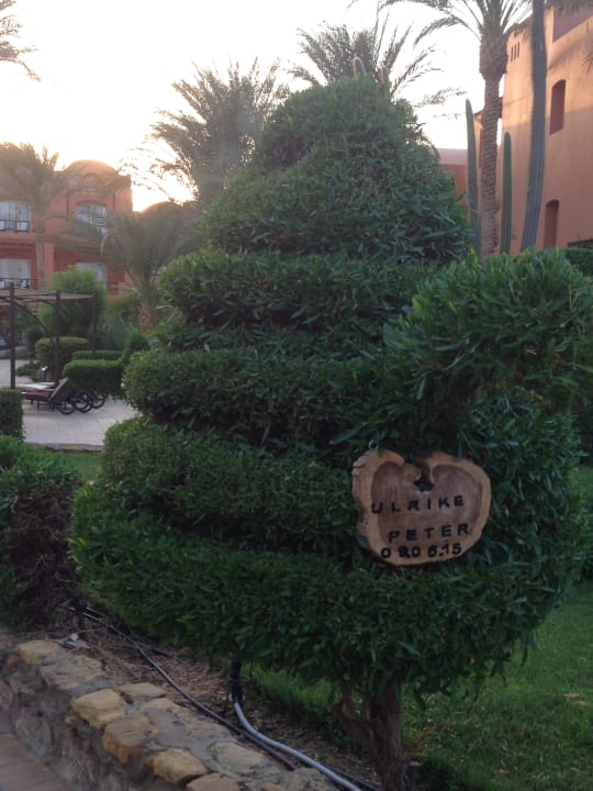 Gartenanlage Jaz Makadi Blue - TUI BLUE Makadi - Adults Friendly 16 Years Plus