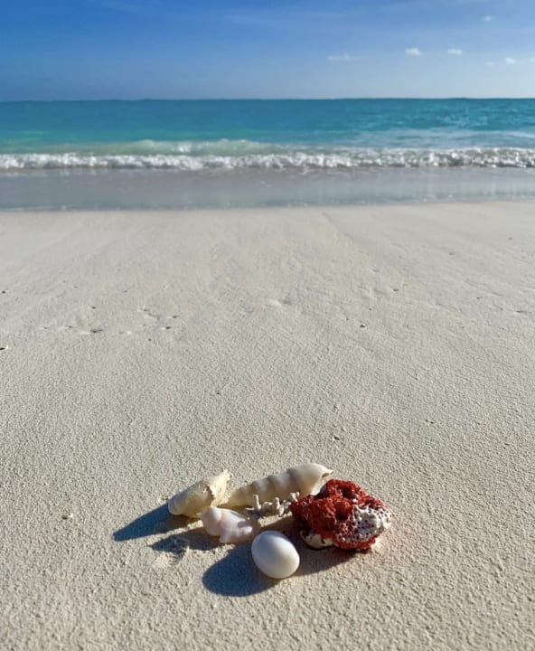 Strand Hotel Riu Atoll