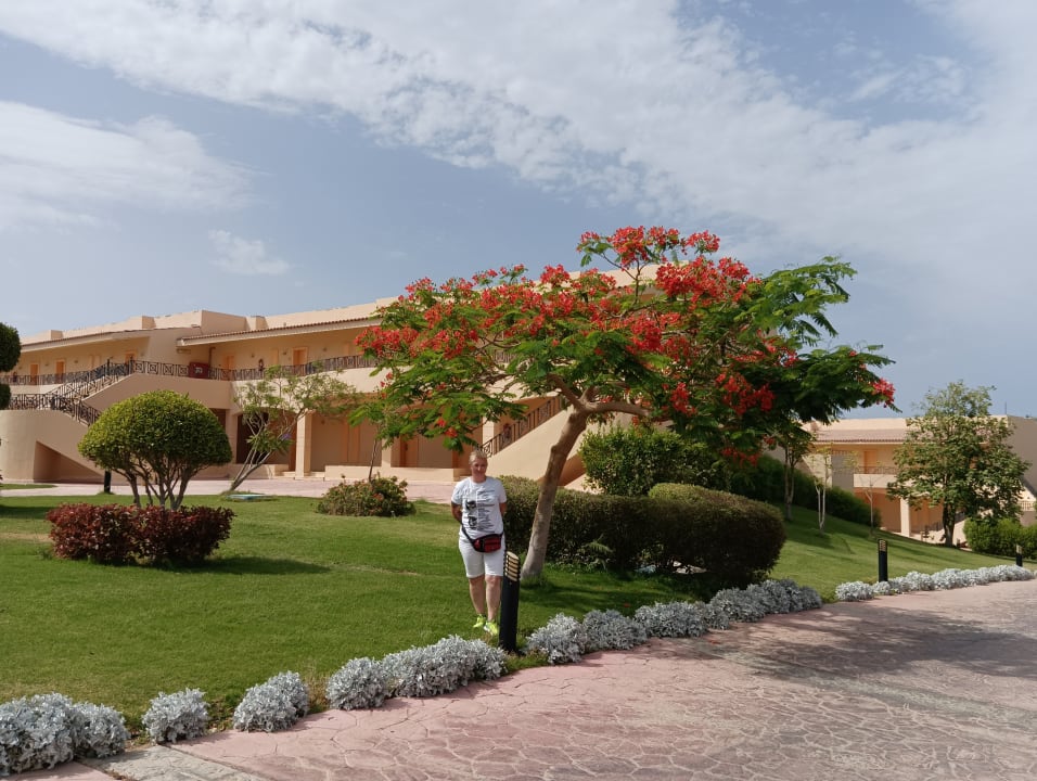 Gartenanlage Cleopatra Luxury Resort Makadi Bay