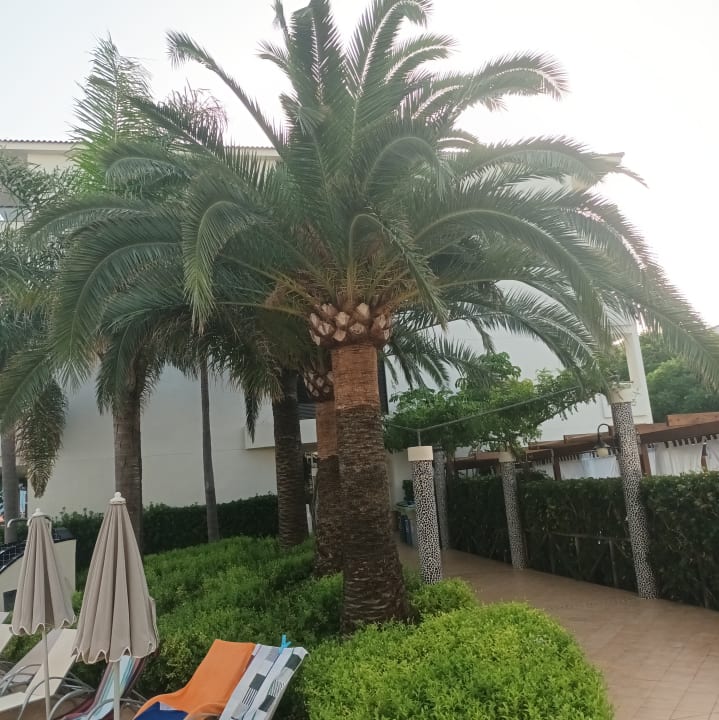 Gartenanlage VIVA Blue & Spa