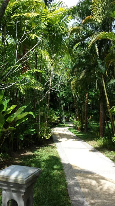 Weg durch die Anlage ROBINSON KHAO LAK