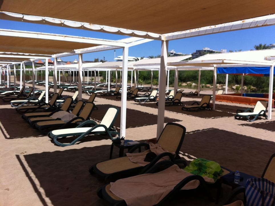 Sehr viele freien Liegen Royal Wings Hotel