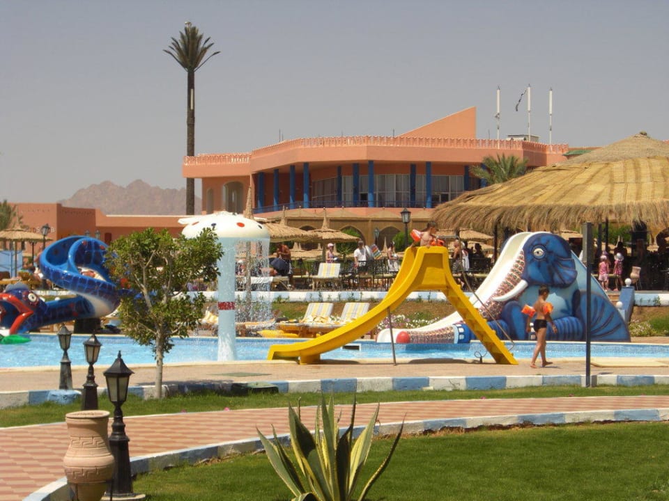 Albatros moderna шарм эль шейх. Египет отель альбатрос модерна. Pickalbatros royal шарм эль шейх. Отель роял альбатрос модерна шарм-эль-шейх. Альбатрос шарм эль шейх 5 звезд.