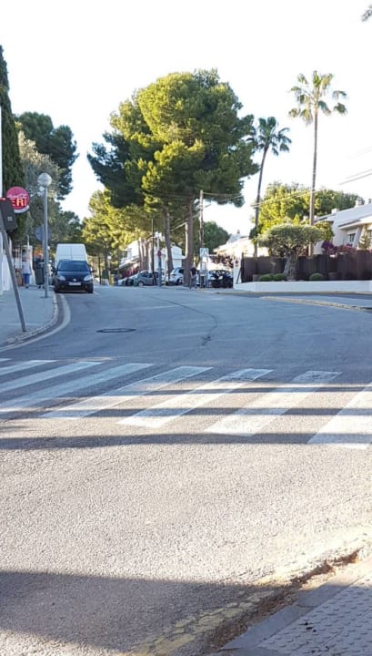 Ausblick Iberostar Waves Pinos Park