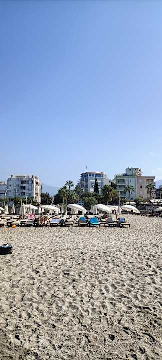 Strand Blue Diamond Alya