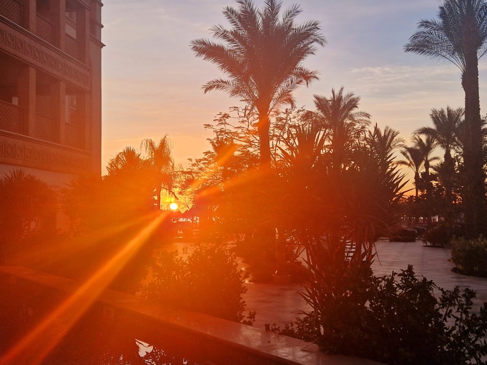 Gartenanlage The Grand Palace - Adults only