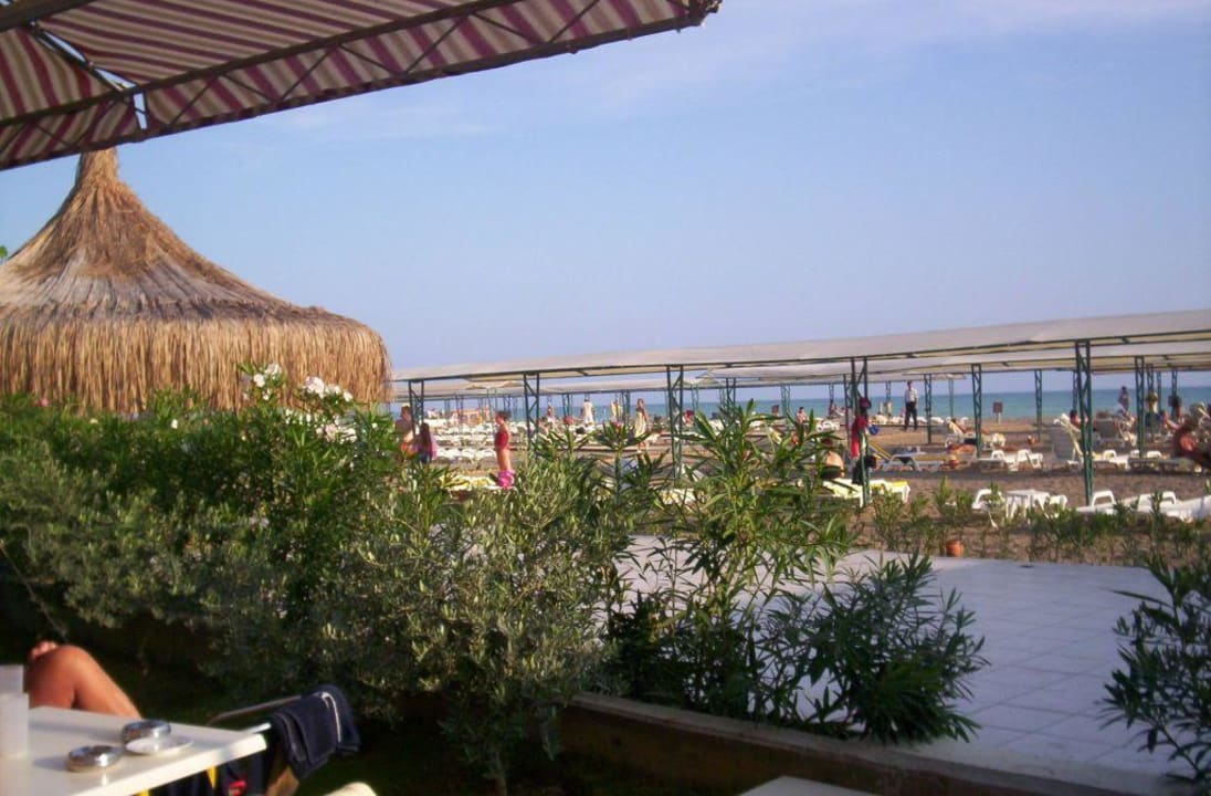 Blick von der Snackbar auf den Strand Belek Beach Resort Hotel