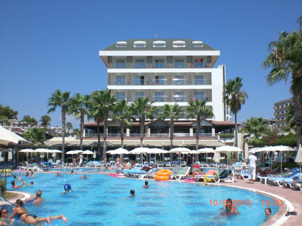 Pool Trendy Palm Beach (Adults Only, 16+)