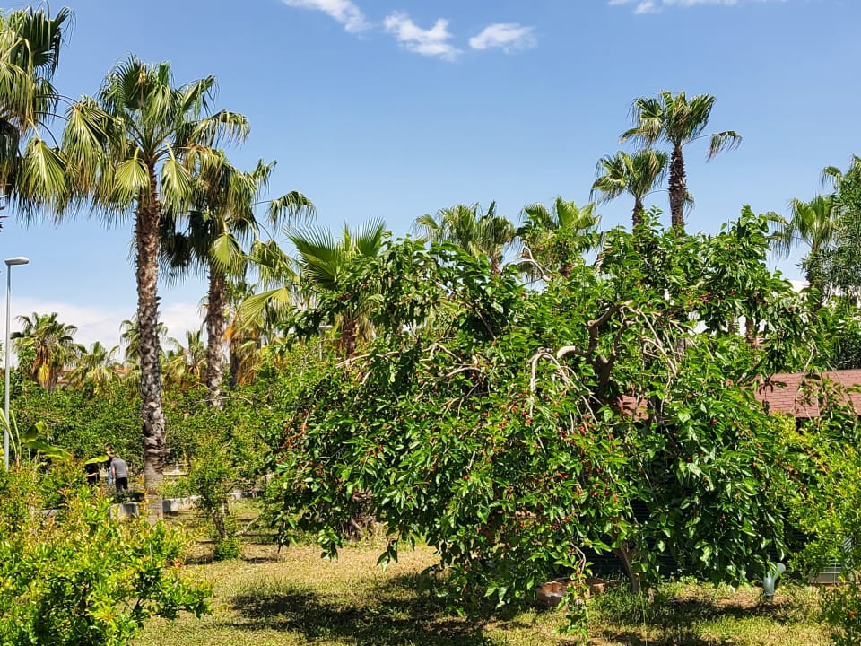 Gartenanlage Club Grand Aqua