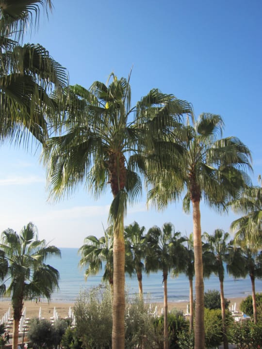 Palmen Melas Resort Hotel