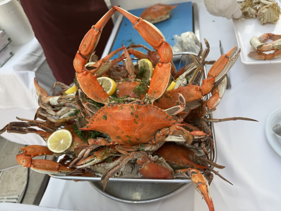Gastro Side Star Beach