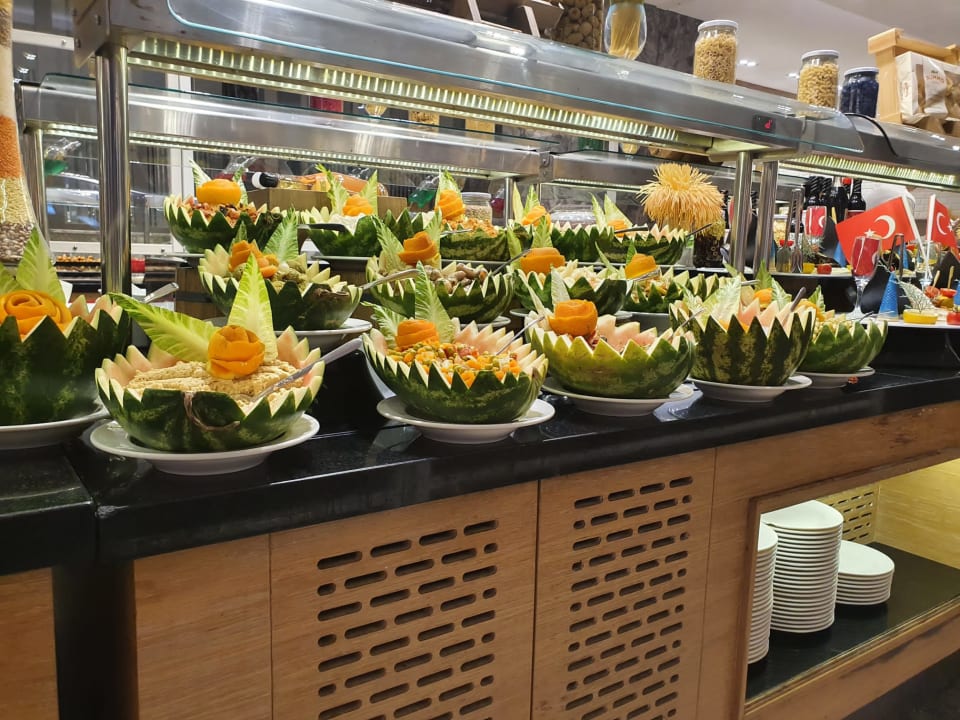 Gastro Seashell Vega