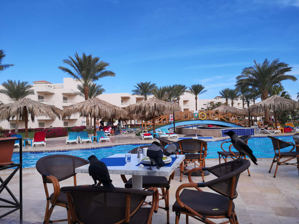 Gastro Hurghada Long Beach Resort
