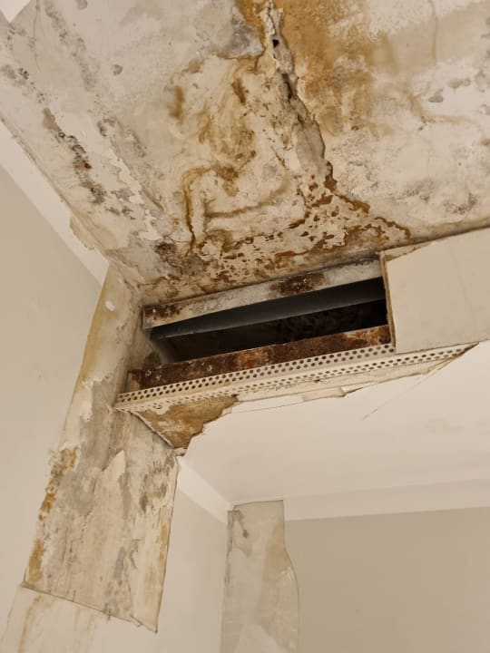 Zimmer Hotel Enziana Wien