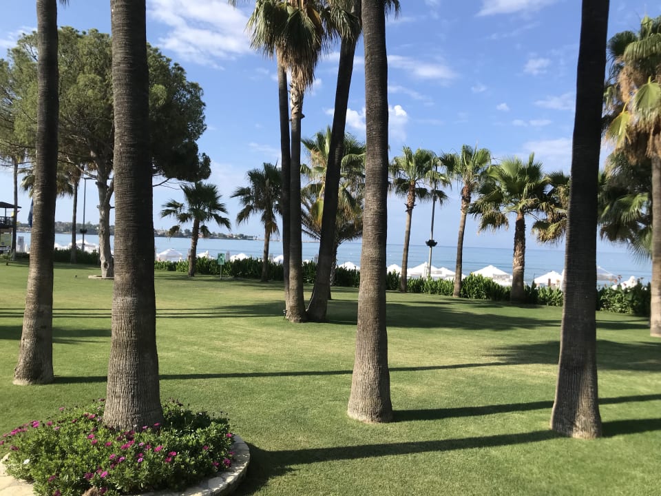 Gartenanlage Acanthus Cennet Barut Collection