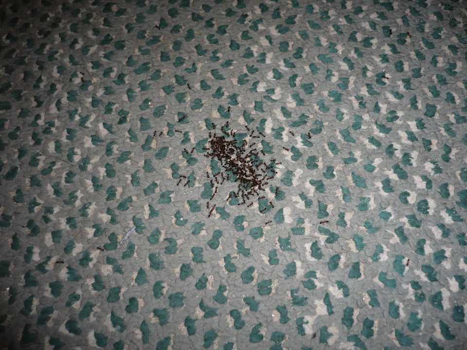 Ameisen El Ksar Resort & Thalasso