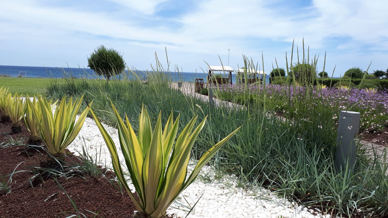 Gartenanlage Rodos Princess Beach Hotel & Spa