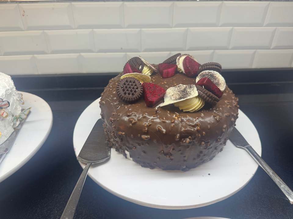 Gastro Seashell Vega