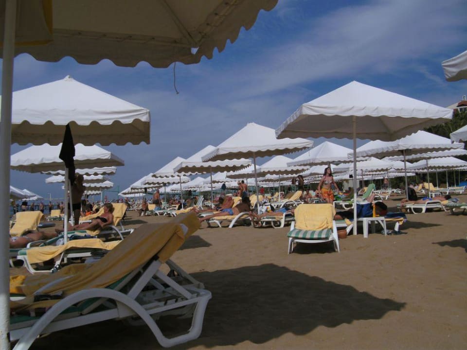 Strandliege Arum Barut Collection