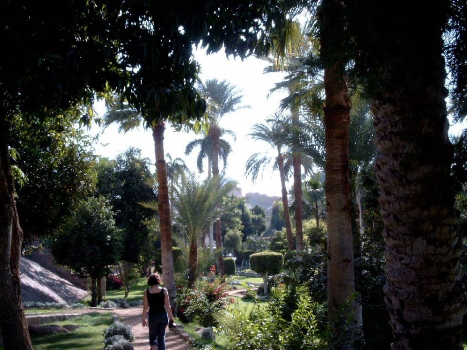 Garten Eden Hotel Sofitel Legend Old Cataract