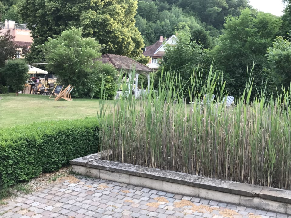 Garten BollAnts Spa im Park