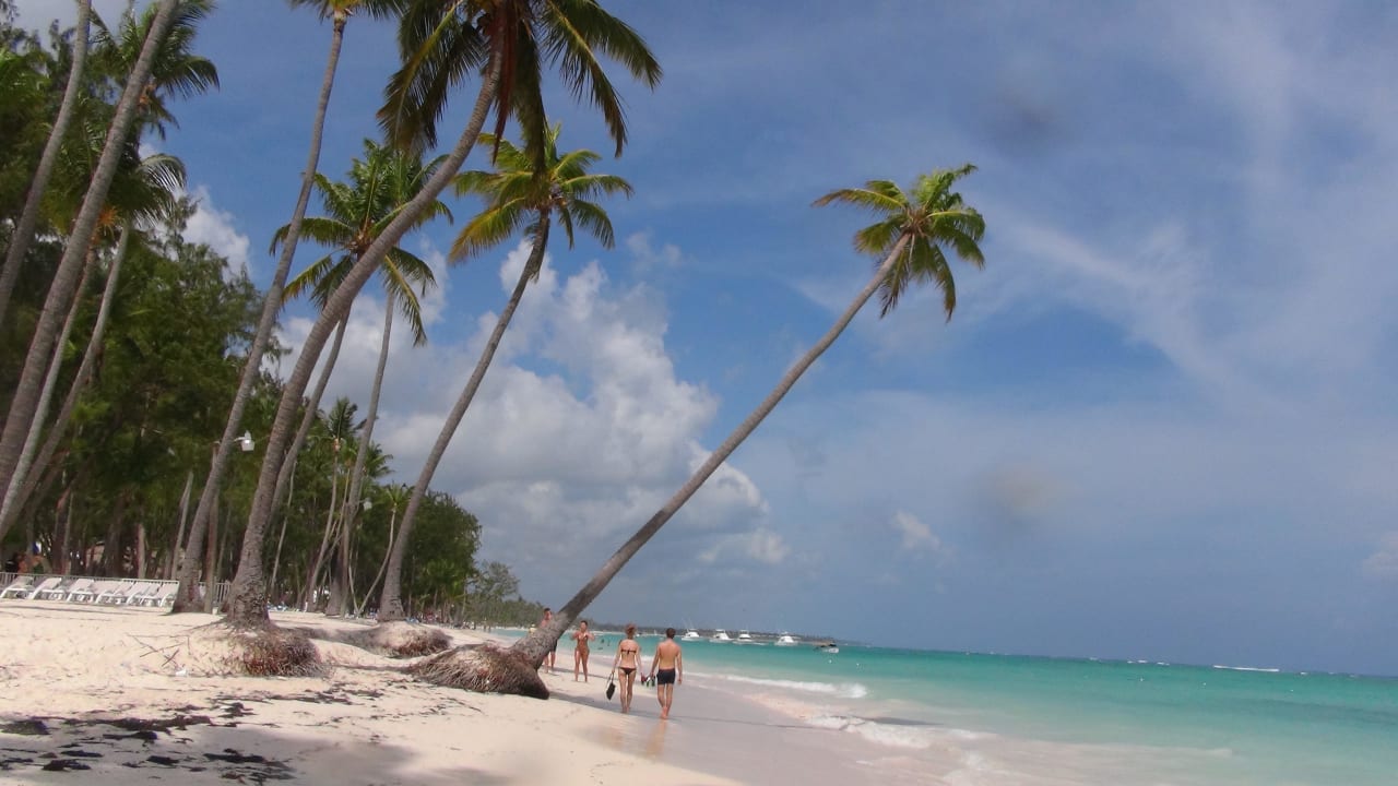 Palmen über Palmen Grand Palladium Select Bávaro Resort & Spa