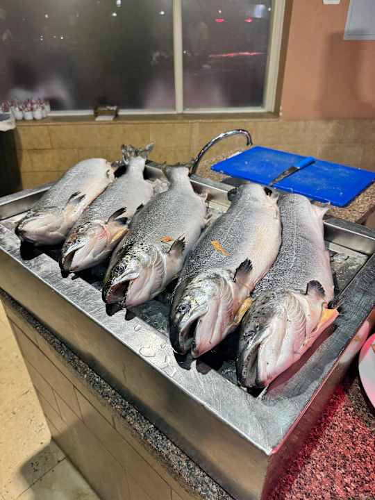 Gastro Club Paradisio El Gouna, Red Sea