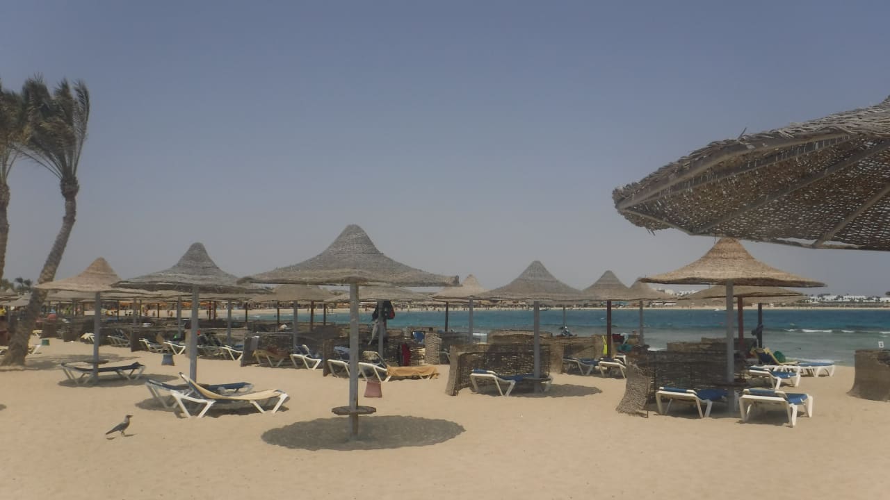 Strand Malikia Resort Abu Dabbab