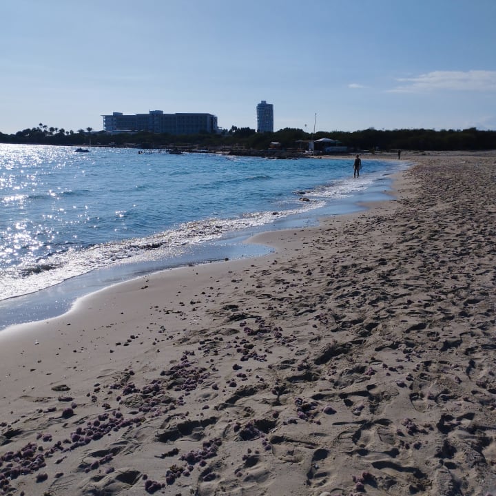 Strand Napa Mermaid Hotel & Suites