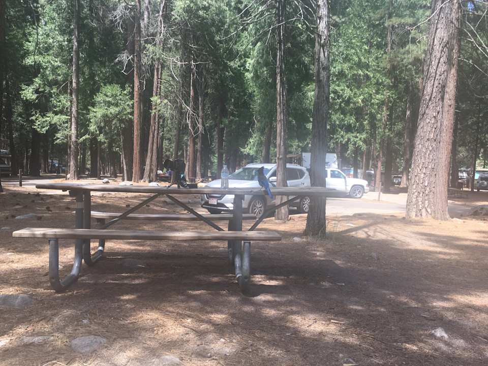 Sonstiges North Pines Campground