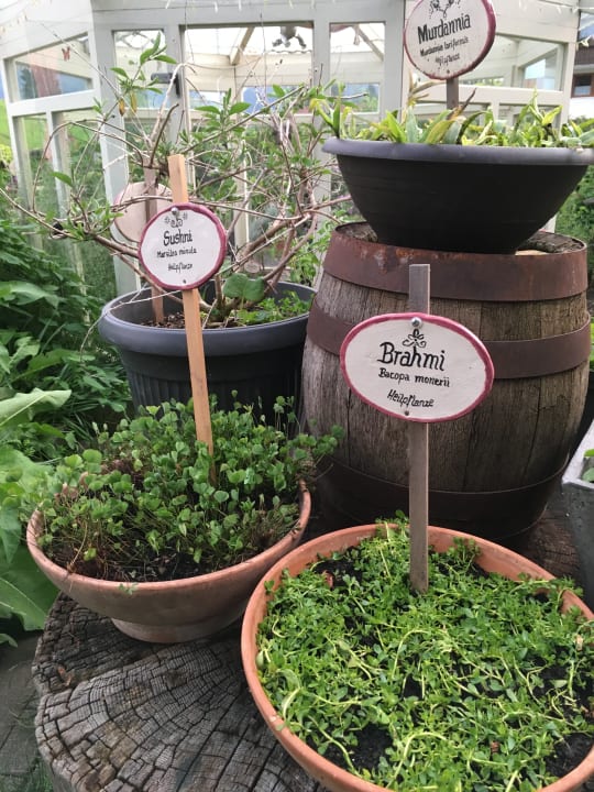 Gartenanlage Der Bären