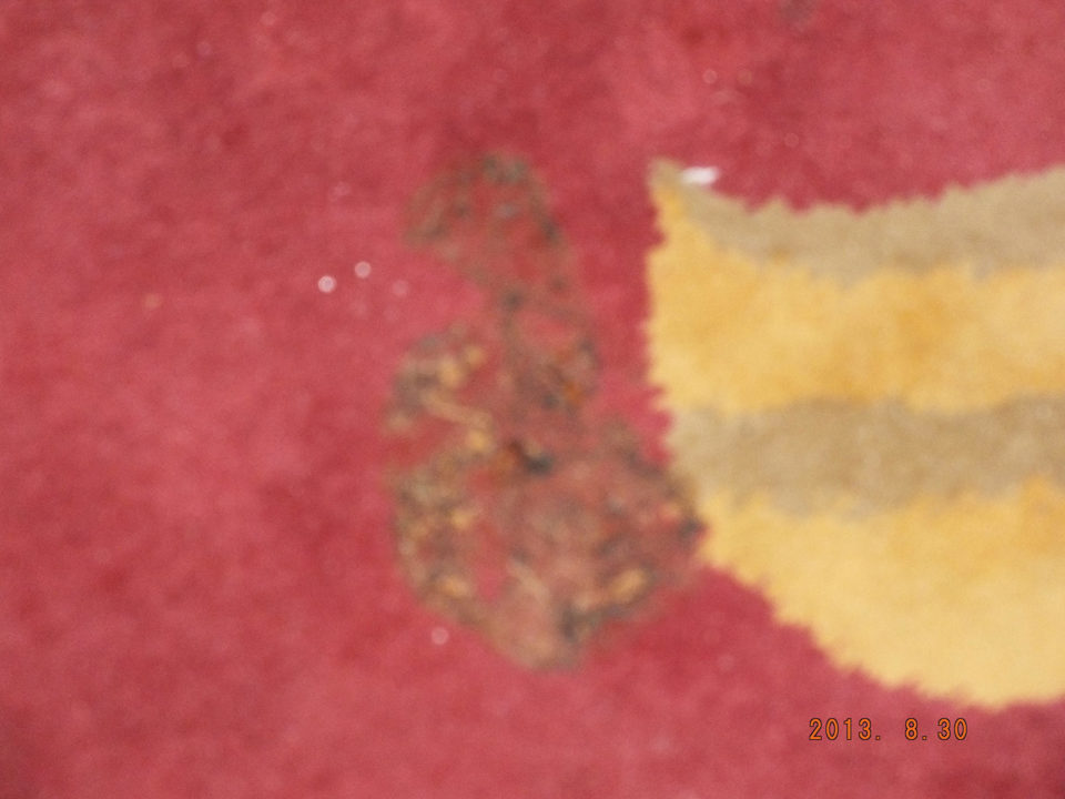 Ktośnie" doniusł"do toalety leżało aż się wdeptało Hotel Amir Palace