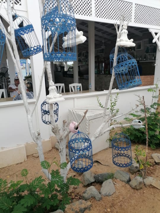 Sonstiges Panorama Bungalows Resort El Gouna