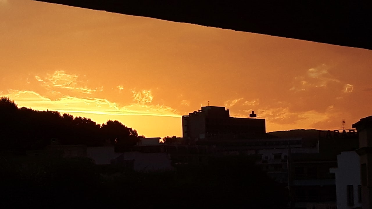 Ausblick FLOR los Almendros Hotel