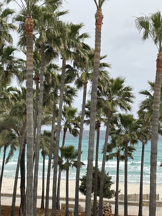 Strand Hipotels Mediterraneo Club