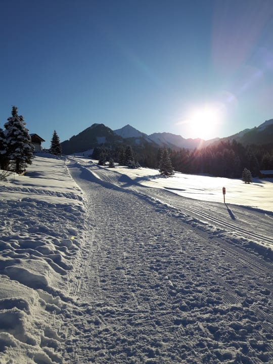 Ausblick Ferienwohnungen Heim
