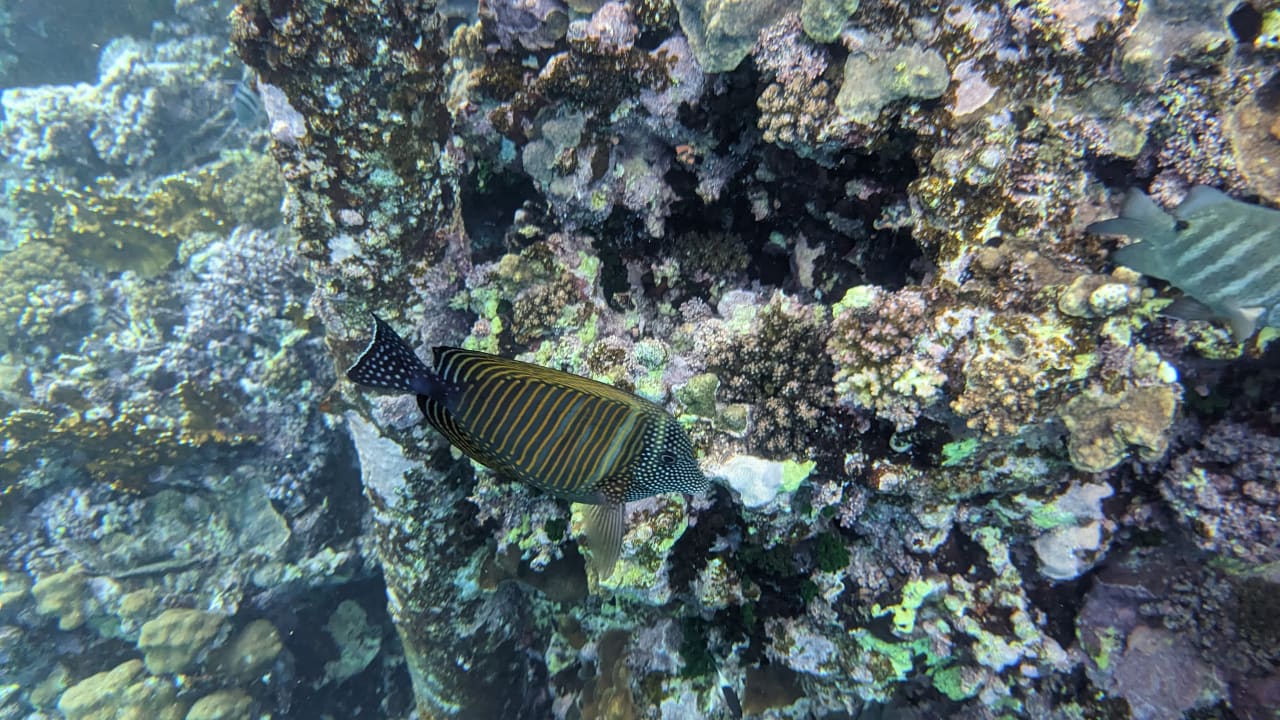 Strand Casa Mare Resort