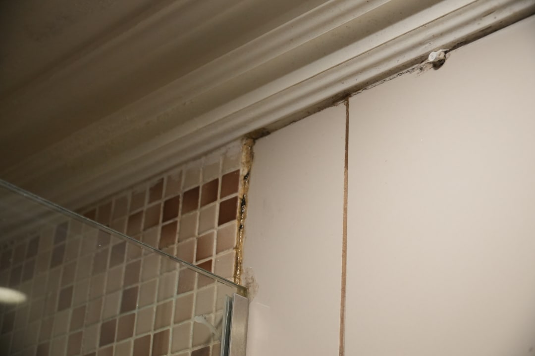 Zimmer Sunshine Rhodes