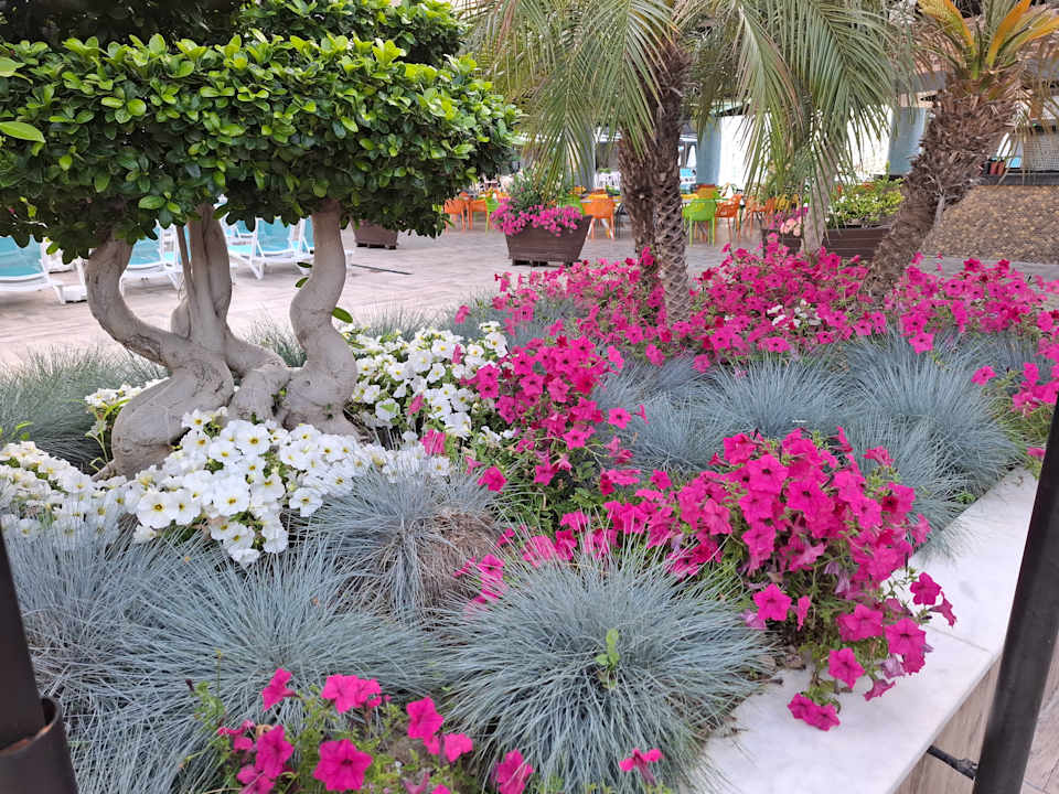 Außenansicht Dream World Palace Hotel