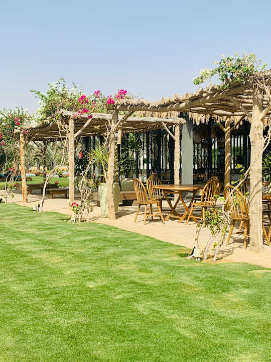 Gastro Steigenberger Resort Alaya Marsa Alam - Red Sea - Adults only
