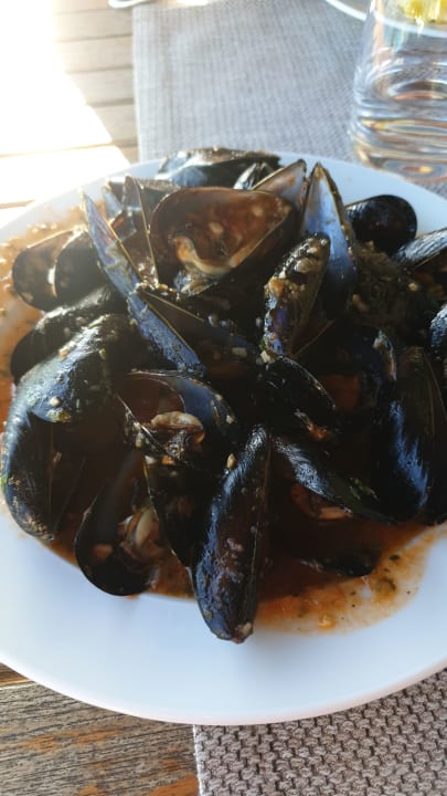 Gastro Hotel Parentium Plava Laguna