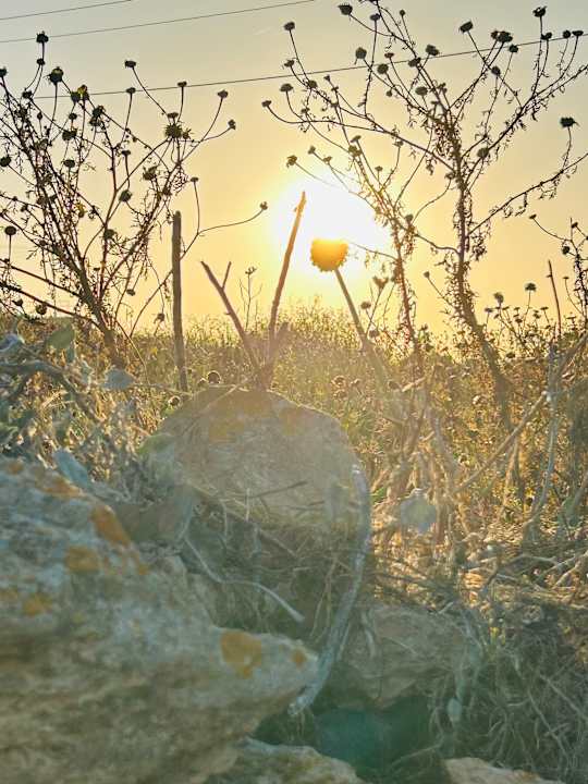 Sonstiges Riviera Spa Resort - Adults Only