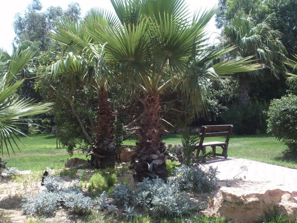 Zum Ausruhen in der Anlage Royal Karthago Djerba