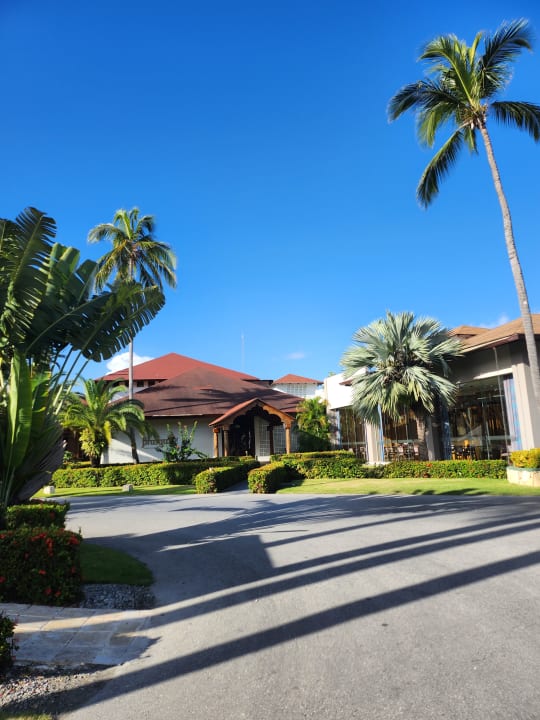 Gartenanlage Hotel Grand Palladium Palace Resort, Spa & Casino