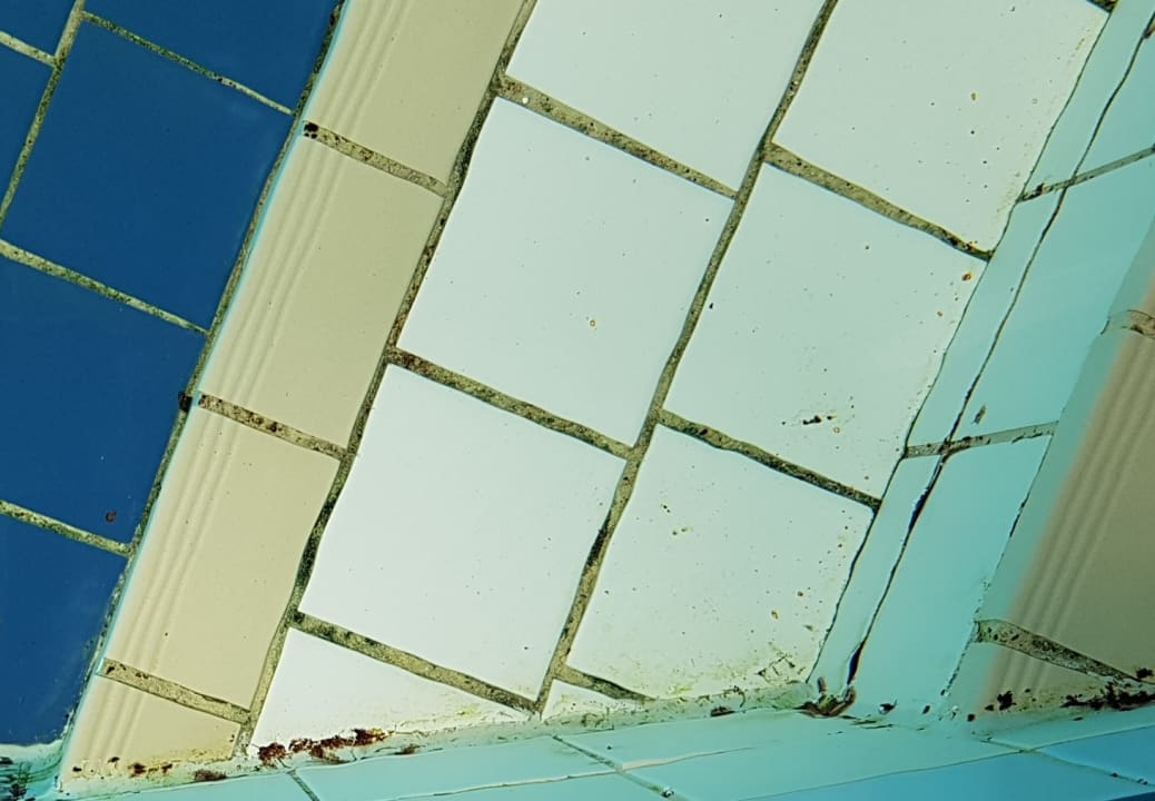 Pool DORMERO Hotel Bonn - Windhagen