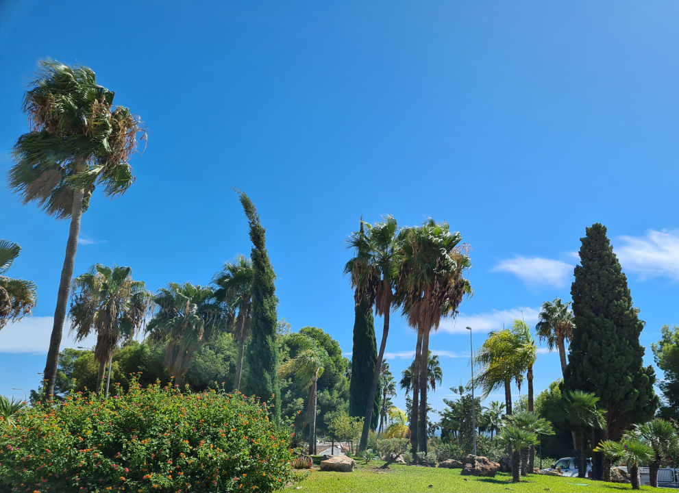 Außenansicht Hotel Riu Monica - Adults only