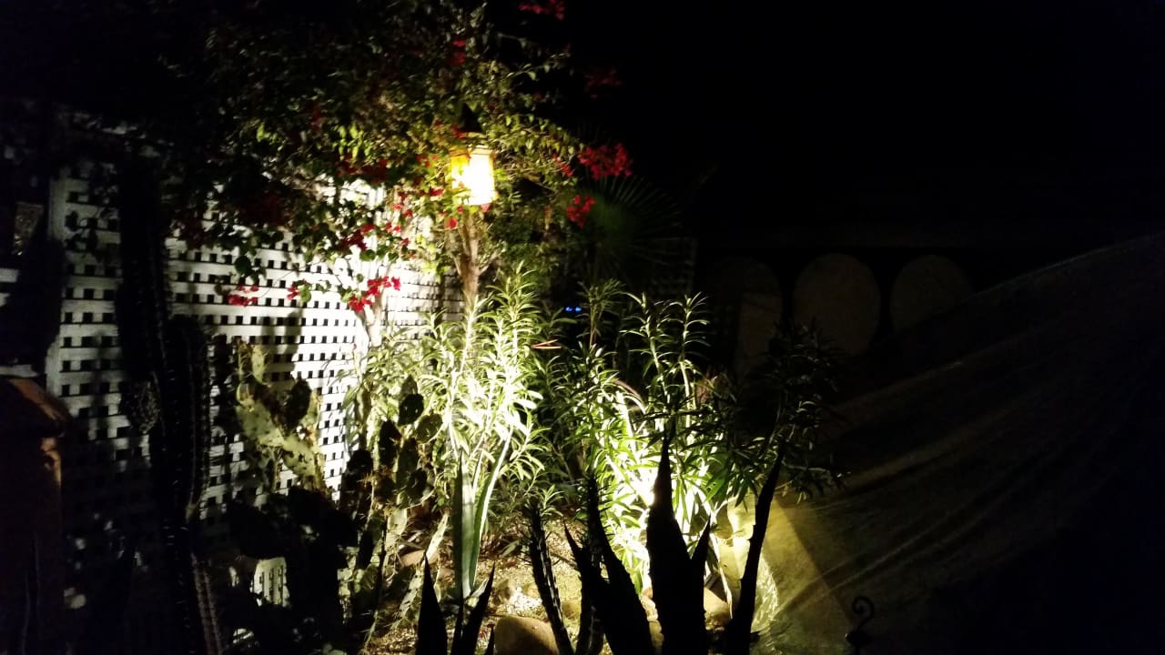 Dachterrasse Hotel Riad Armelle