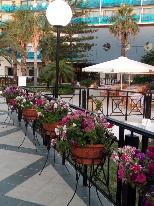 Gastro Hotel Calypso Beach